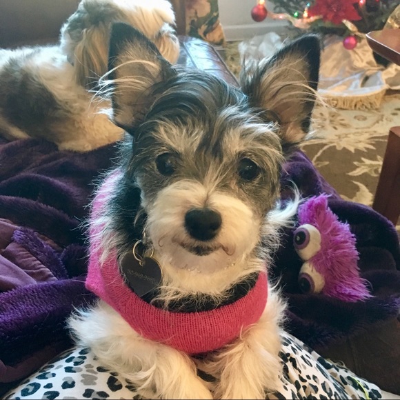 Meet your Posher, Brandie - Picture 3 of 8